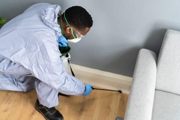 Best Termite Inspection and Treatment  in Canonsburg, PA